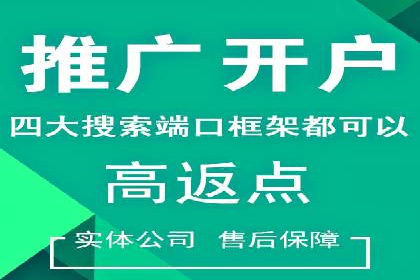 案例解析：SEM竞价代运营如何提升转化率