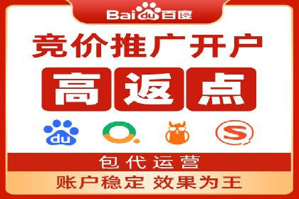百度竞价广告投放成功案例解析